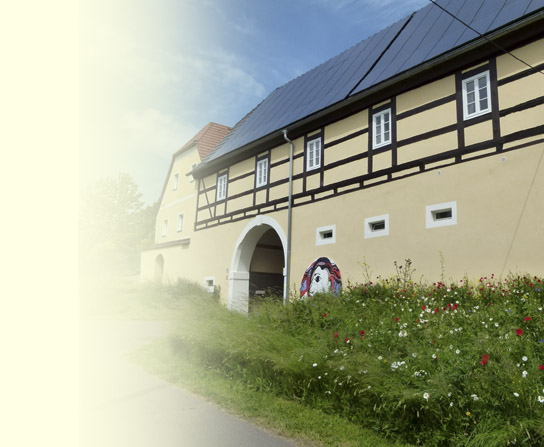 blühende Wiesenfläche vor einer bäuerlichen Hofanlage mit Tordurchfahrtshaus